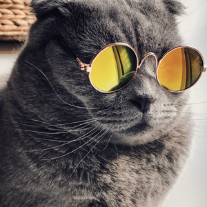 免费黄片免。cos 二次元
