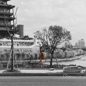 免费黄片免。cos 二次元
