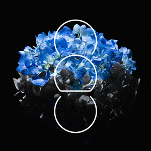 免费黄片免。cos 二次元
