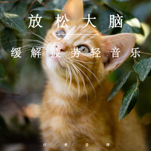 免费黄片免。cos 二次元
